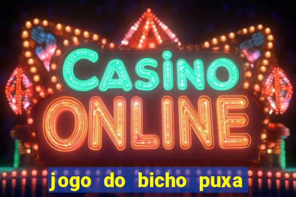 jogo do bicho puxa de dona maria